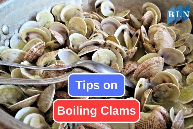 Tips On Boiling Clam Correctly